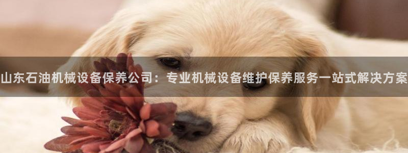 山东石油机械设备保养公司：专业机械设备维护保养服务一站式解决方案