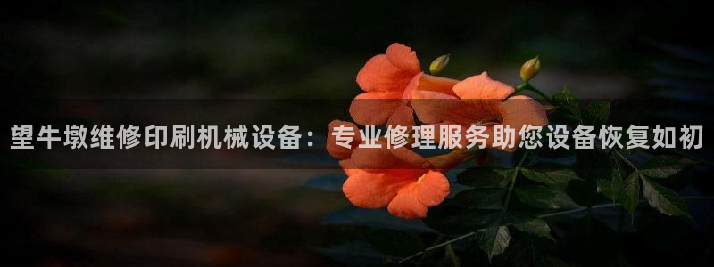 望牛墩维修印刷机械设备：专业修理服务助您设备恢复如初