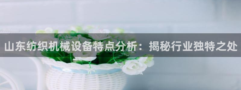 山东纺织机械设备特点分析：揭秘行业独特之处