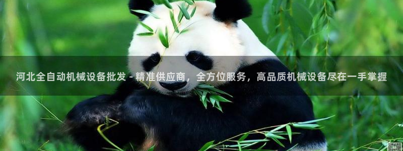 杏盛平台：河北全自动机械设备批发 - 精准供应商，全方位服务，高品质机械设备尽在