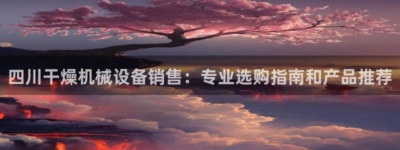 杏盛平台登录：四川干燥机械设备销售：专业选购指南和产品推荐