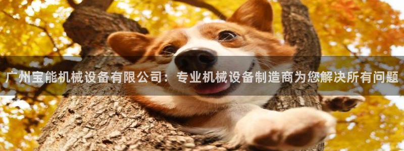 杏盛平台登录：广州宝能机械设备有限公司：专业机械设备制造商为您解决所有问题