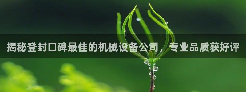 杏盛平台开户 贴吧：揭秘登封口碑最佳的机械设备公司，专业品质获好评