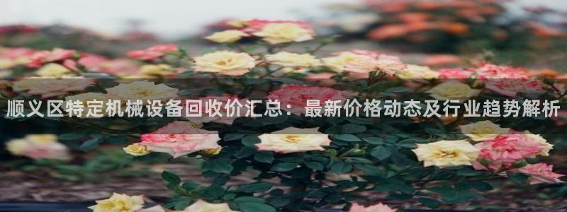 杏盛娱乐代理：顺义区特定机械设备回收价汇总：最新价格动态及行业趋势解析