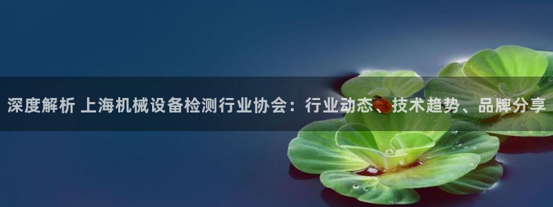 杏盛平台开户 贴吧：深度解析 上海机械设备检测行业协会：行业动态、技术趋势、品牌