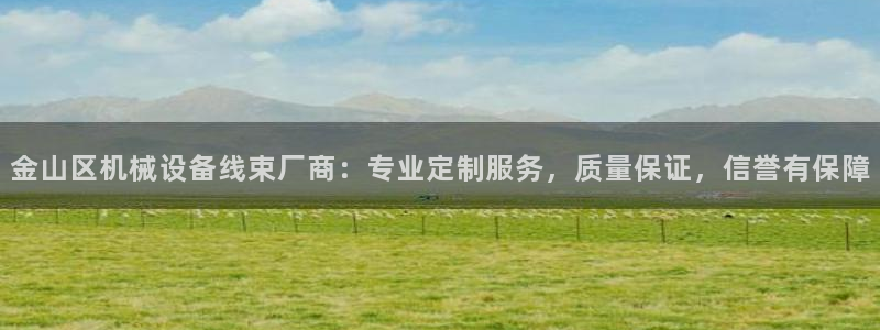 杏盛娱乐代理：金山区机械设备线束厂商：专业定制服务，质量保证，信誉有保障