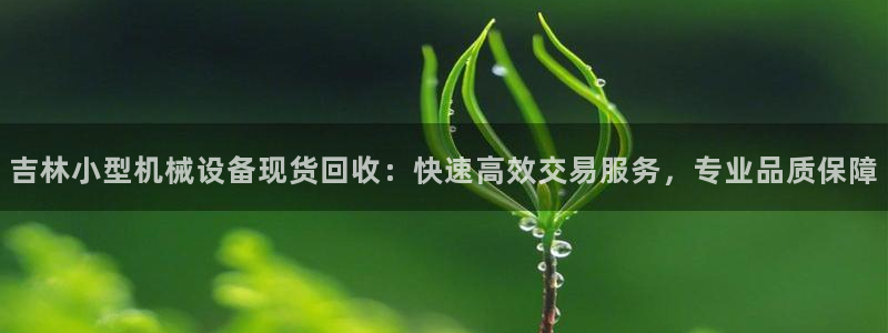 杏盛平台官网注册登录：吉林小型机械设备现货回收：快速高效交易服务，专业品质保障