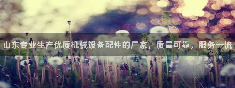 杏盛平台开户 贴吧：山东专业生产优质机械设备配件的厂家，质量可靠，服务一流