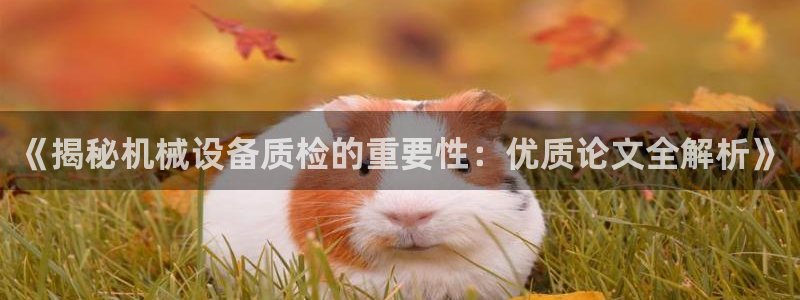 杏盛平台官网注册登录：《揭秘机械设备质检的重要性：优质论文全解析》
