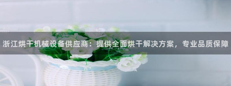 杏盛平台主管：浙江烘干机械设备供应商：提供全面烘干解决方案，专业品质保障