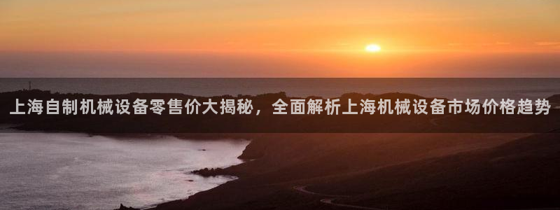 杏盛代理：上海自制机械设备零售价大揭秘，全面解析上海机械设备市场价格趋势