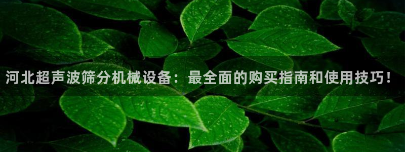 杏盛平台：河北超声波筛分机械设备：最全面的购买指南和使用技巧！