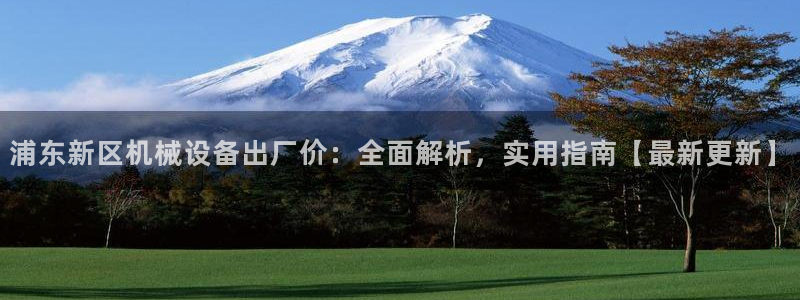 杏盛官方平台：浦东新区机械设备出厂价：全面解析，实用指南【最新更新】