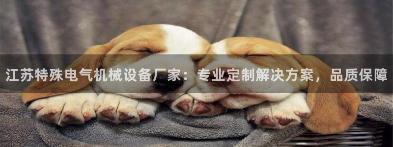杏盛平台：江苏特殊电气机械设备厂家：专业定制解决方案，品质保障