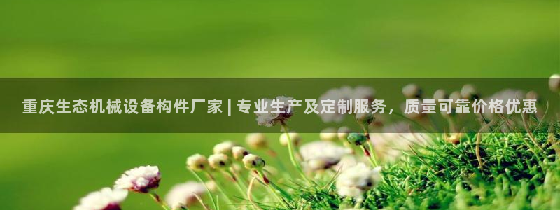 杏盛平台：重庆生态机械设备构件厂家 | 专业生产及定制服务，质量可靠价格优惠