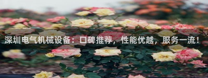 杏盛平台登录：深圳电气机械设备：口碑推荐，性能优越，服务一流！