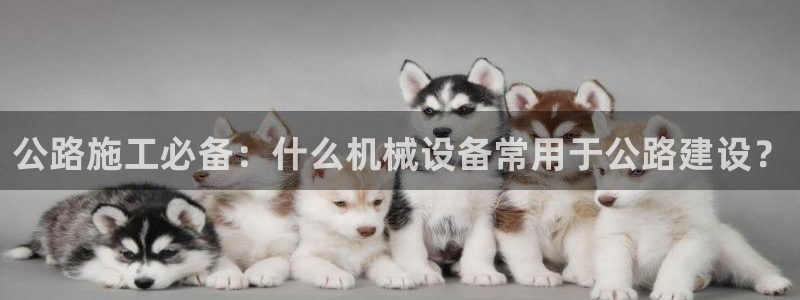 杏盛平台代理注册：公路施工必备：什么机械设备常用于公路建设？