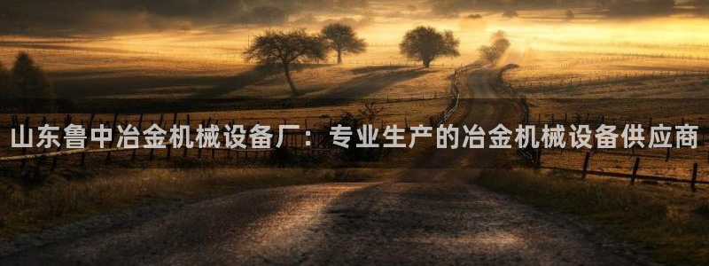 杏盛官网：山东鲁中冶金机械设备厂：专业生产的冶金机械设备供应商