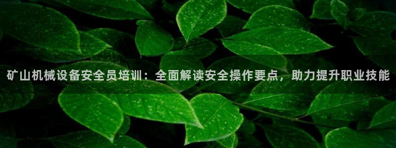杏盛代理：矿山机械设备安全员培训：全面解读安全操作要点，助力提升职业技能