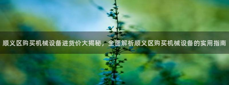 杏盛平台官网：顺义区购买机械设备进货价大揭秘，全面解析顺义区购买机械设备的实用指