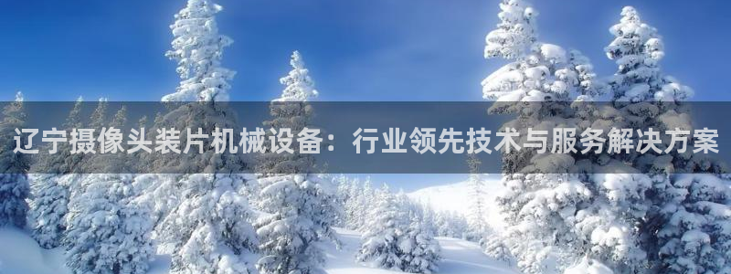 杏盛注册登录：辽宁摄像头装片机械设备：行业领先技术与服务解决方案
