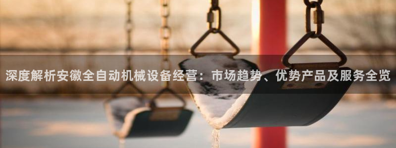 杏盛官网登录：深度解析安徽全自动机械设备经营：市场趋势、优势产品及服务全览
