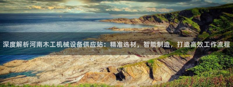 杏盛app下载：深度解析河南木工机械设备供应站：精准选材，智能制造，打造高效工作