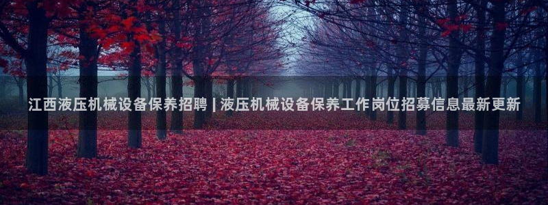 杏盛平台主管：江西液压机械设备保养招聘 | 液压机械设备保养工作岗位招募信息最新