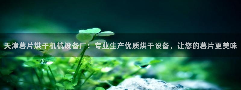 杏盛平台登录：天津薯片烘干机械设备厂：专业生产优质烘干设备，让您的薯片更美味