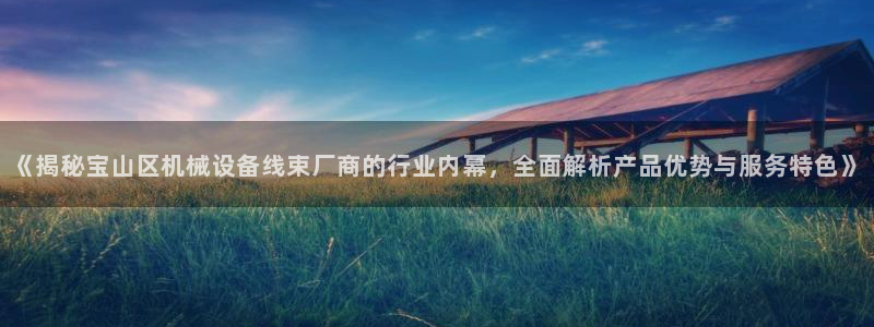 杏盛平台登录地址：《揭秘宝山区机械设备线束厂商的行业内幕，全面解析产品优势与服务