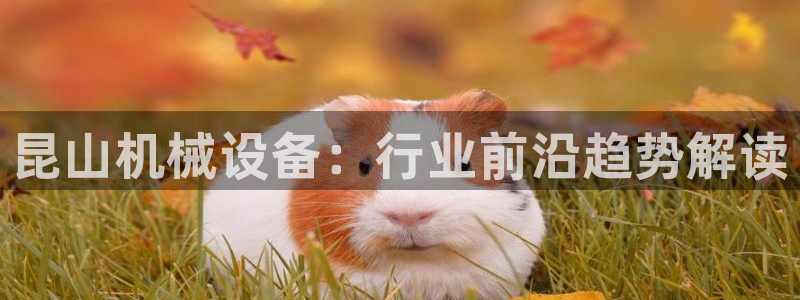 杏盛官网登录：昆山机械设备：行业前沿趋势解读