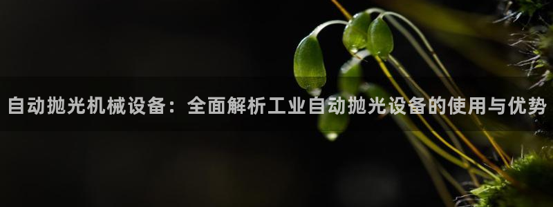杏盛官网登录：自动抛光机械设备：全面解析工业自动抛光设备的使用与优势