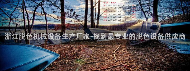 杏盛平台官网：浙江脱色机械设备生产厂家-找到最专业的脱色设备供应商