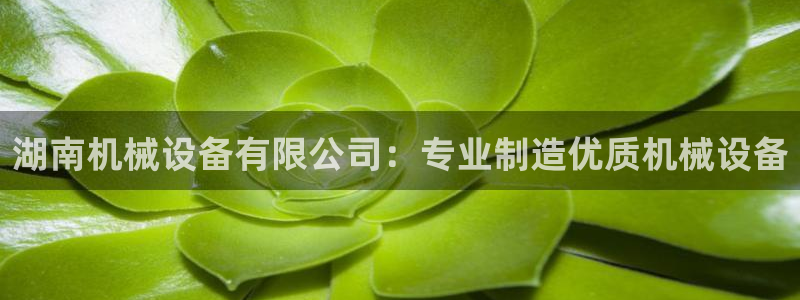 杏盛平台代理：湖南机械设备有限公司：专业制造优质机械设备