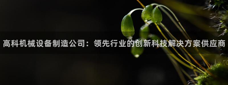 杏盛乐岳35994誓：高科机械设备制造公司：领先行业的创新科技解决方案供应商