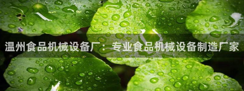 杏盛平台代理注册：温州食品机械设备厂：专业食品机械设备制造厂家
