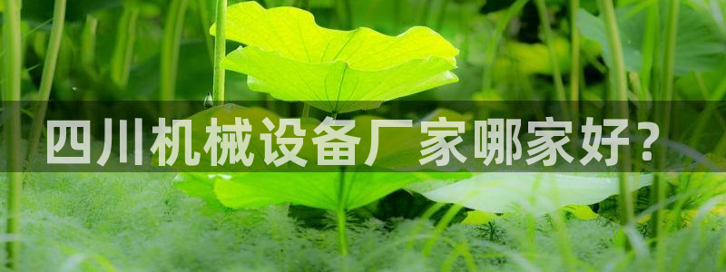 杏盛平台代理：四川机械设备厂家哪家好？