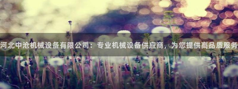 杏盛代理：河北中沧机械设备有限公司：专业机械设备供应商，为您提供高品质服务