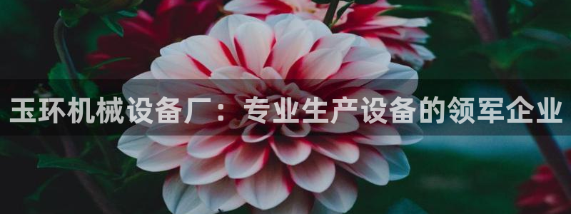 杏盛平台代理注册：玉环机械设备厂：专业生产设备的领军企业