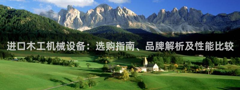 杏盛平台上级：进口木工机械设备：选购指南、品牌解析及性能比较