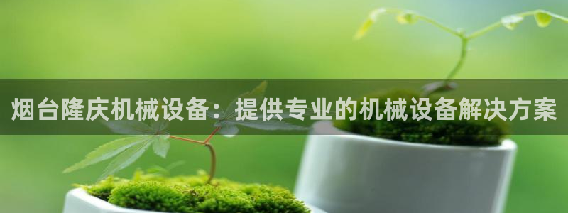 杏盛主管：烟台隆庆机械设备：提供专业的机械设备解决方案