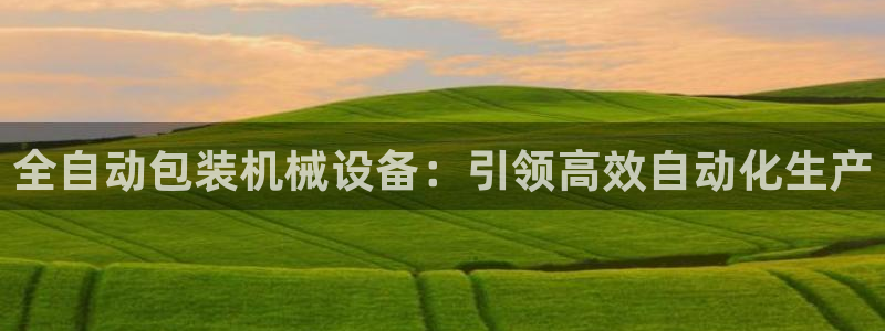 杏盛娱乐代理：全自动包装机械设备：引领高效自动化生产