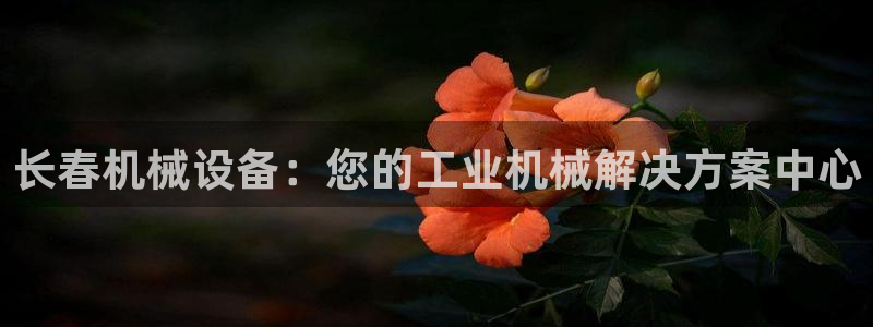 杏盛官网登录：长春机械设备：您的工业机械解决方案中心