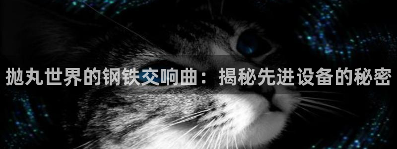 杏盛平台官网注册：抛丸世界的钢铁交响曲：揭秘先进设备的秘密