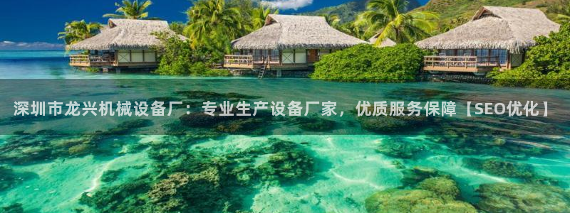 杏盛平台代理注册：深圳市龙兴机械设备厂：专业生产设备厂家，优质服务保障【SEO优