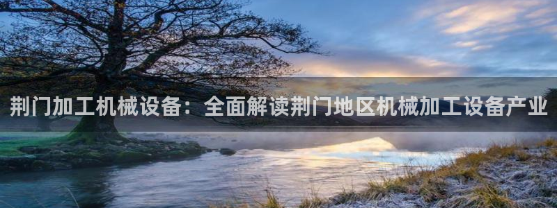 杏盛官网登录：荆门加工机械设备：全面解读荆门地区机械加工设备产业
