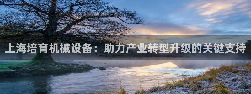 杏盛平台官网注册登录：上海培育机械设备：助力产业转型升级的关键支持