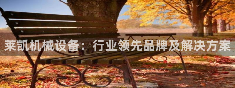 杏盛官方平台：莱凯机械设备：行业领先品牌及解决方案