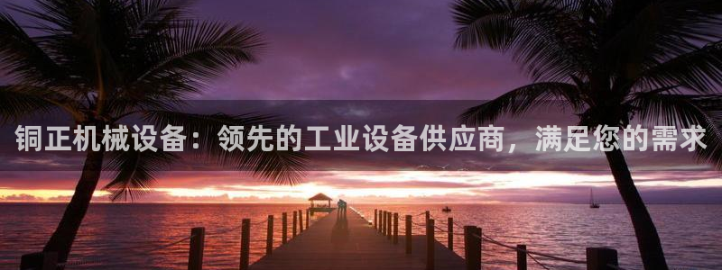 杏盛app下载：铜正机械设备：领先的工业设备供应商，满足您的需求