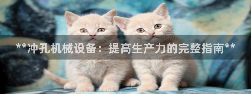 杏盛app下载：**冲孔机械设备：提高生产力的完整指南**